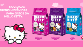 20160115_Banner_Noticias_Facebook_AreiaParaGatos