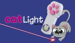 14135091_936341493142928_552941854_n